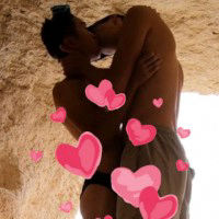 Stallion And Bunny