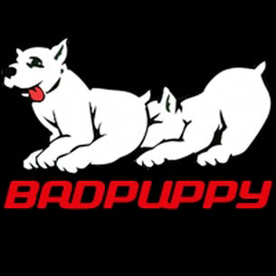 Bad Puppy
