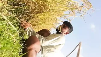 Gay time sex video in jungle
